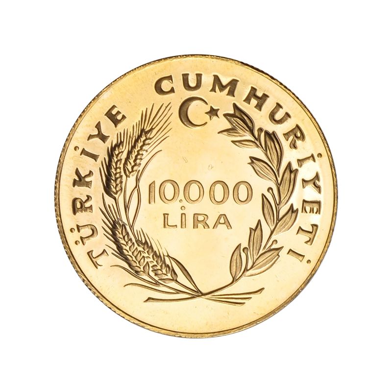 Türkei 10000 Lira 1979, Jahr des Kindes