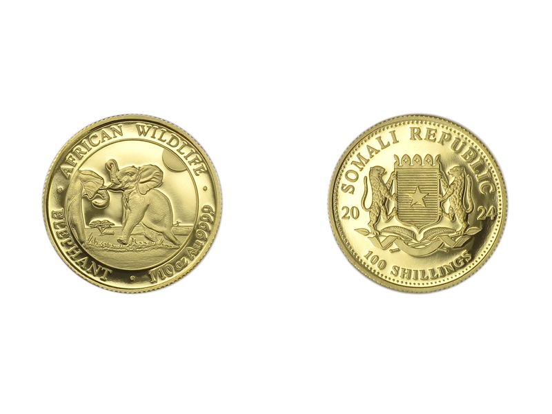 Somalia 100 Sh. 1/10 oz Elefant 2024,