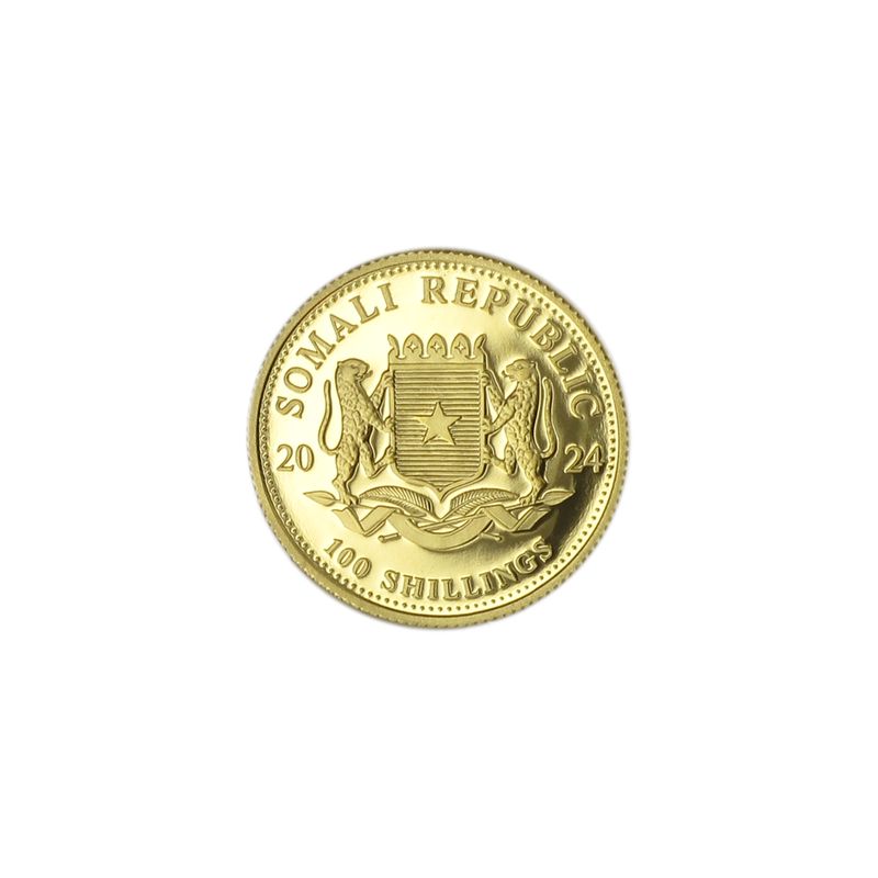 Somalia 100 Sh. 1/10 oz Elefant 2024,