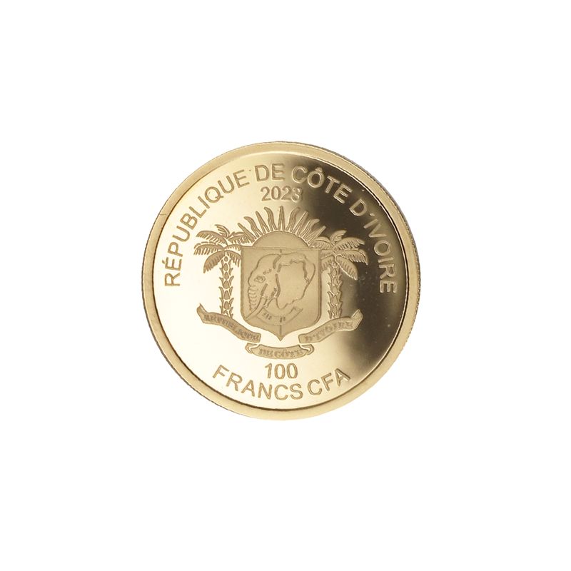 Elfenbeinküste 100 CFA. Krüger Nationalpark Diamant (B+C) 2023