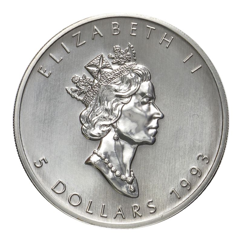 LAGER ------ 5$ Maple Leaf 1 oz,  Patina, keine Neuware