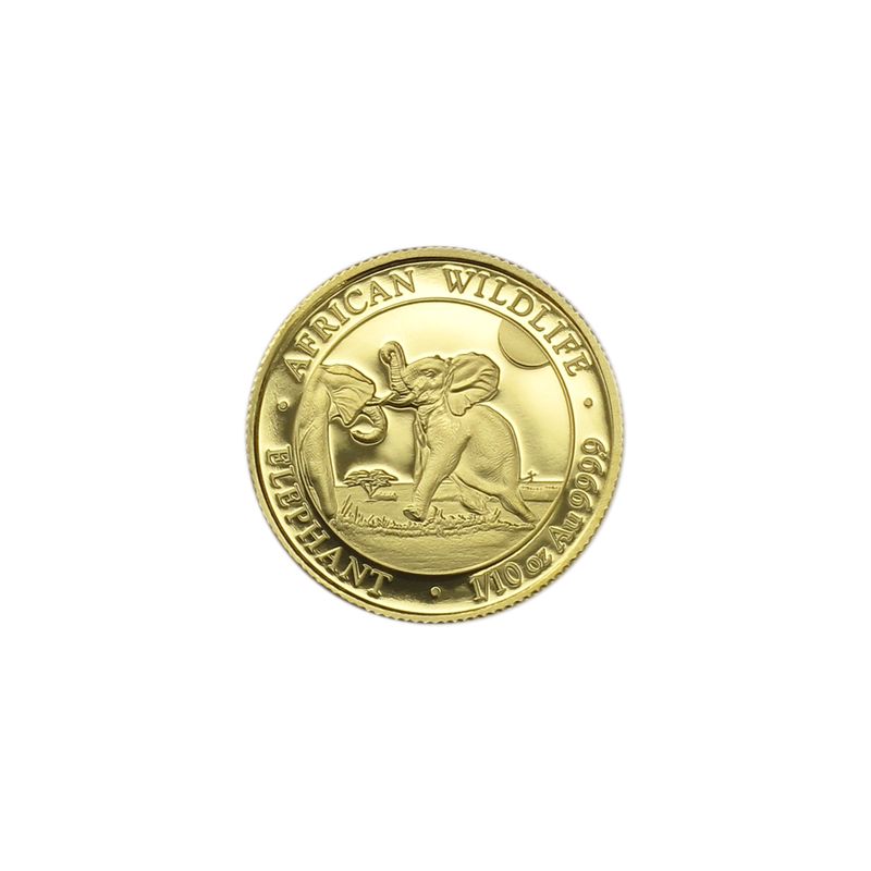 Somalia 100 Sh. 1/10 oz Elefant 2024,